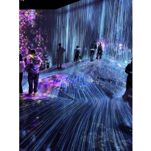 TeamLab